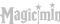 Magicminer